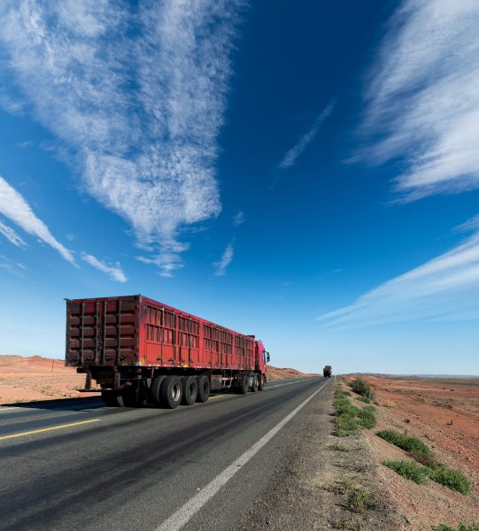 road-in-the-wild-2025-03-17-12-32-25-utc